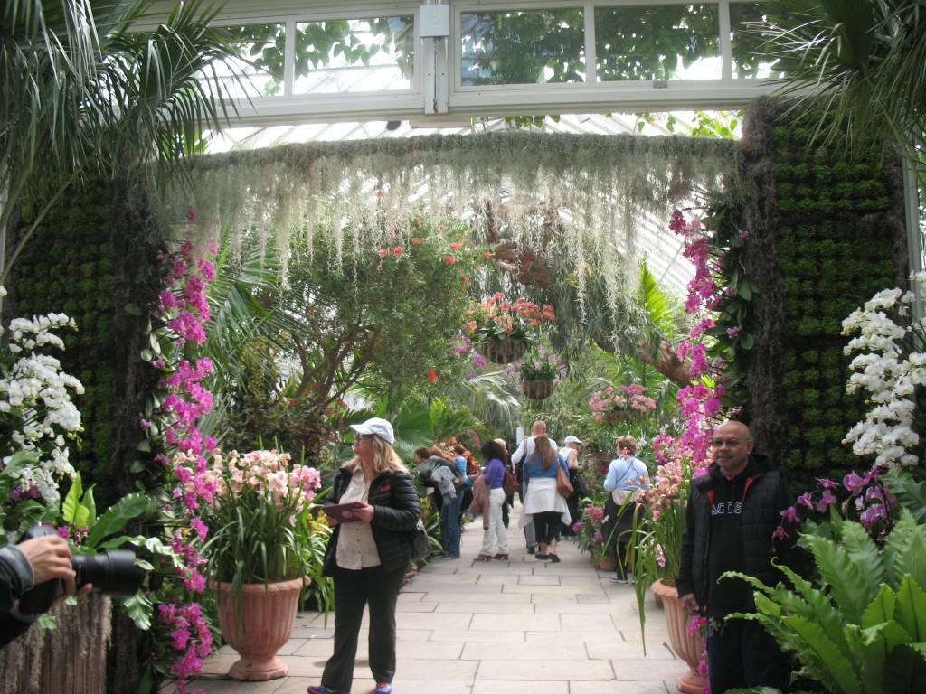 nybg_The New York Botanical Garden's Enid A. Haupt Conservatory is filled with 3,000 to 5,000 blossoming orchid
