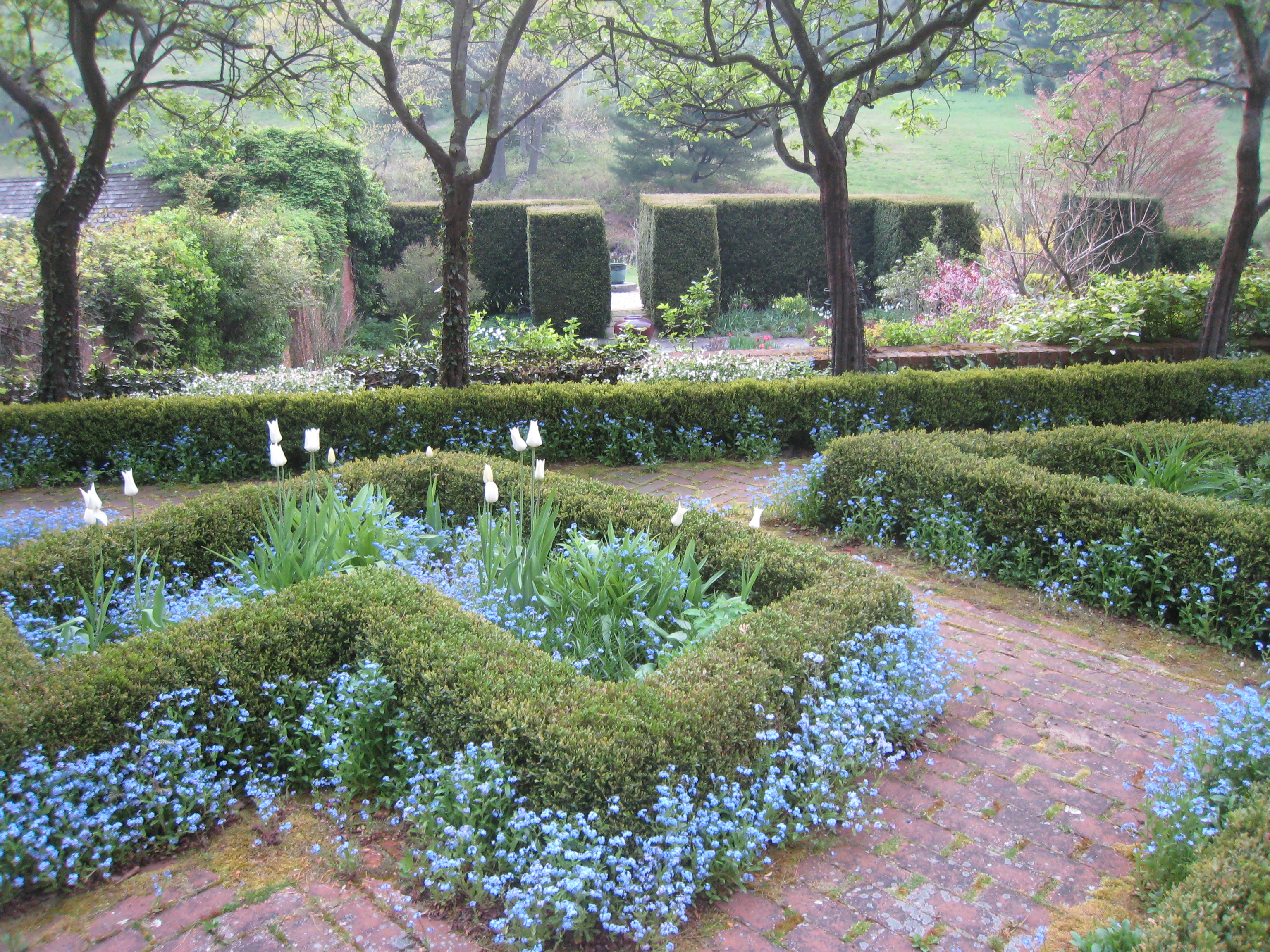 hollister house garden_The Grey Garden in May