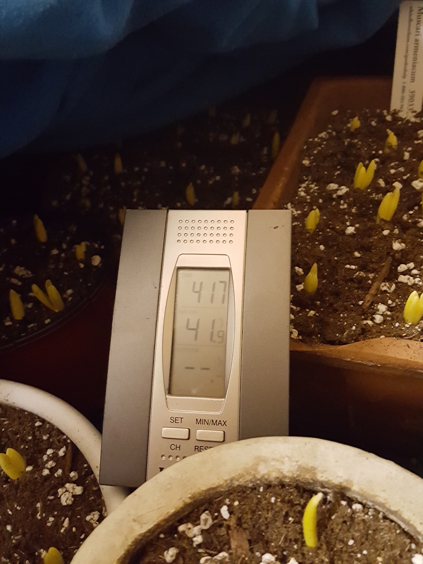 a-thermometer-placed-in-the-crate-inside-the-shed-helps-monitor-temperatures