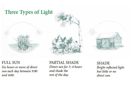Types of Light