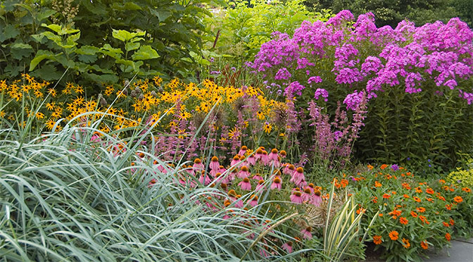 The Art Of Gardening Successful Plant Combinations White Flower Farm S Blog - Best Plant Combinations For Landscaping