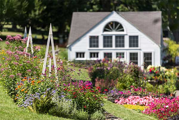 Magical Summer, White Flower Farm House