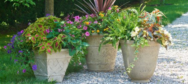 How to Fill a Big Flower Pot in 6 Steps - Garden Patch